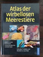 Atlas der wirbellosen Meerestiere (Debelius/Kuiter) Rheinland-Pfalz - Landau in der Pfalz Vorschau