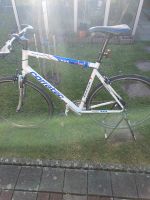 Fahrrad 28 zoll Nordrhein-Westfalen - Soest Vorschau