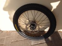 Hinterrad BMX 20X1.85 Maxxis MaxxDaddy Reifen SRAM i3 Nabe Bremse Baden-Württemberg - Weil am Rhein Vorschau