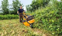 AS 901 SM Schlegelmulcher Baden-Württemberg - Langenau Vorschau