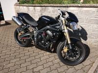 Triumph Street Triple 675 ccm Streetfighter Naked Bike Bayern - Burgkunstadt Vorschau