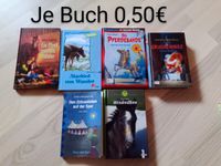 Bücher nur je 0,50€ Wiesengrund - Trebendorf Vorschau