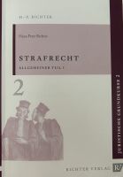 NEU: Strafrecht AT, Hans-Peter Richter, 20. aktuelle Auflage München - Altstadt-Lehel Vorschau