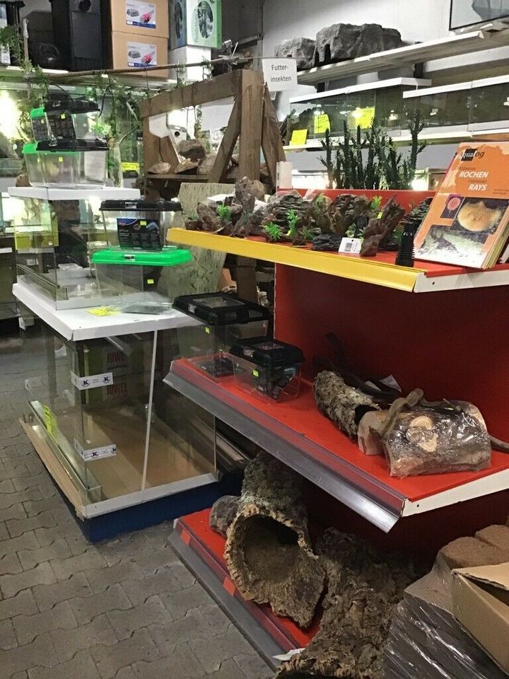 Transportboxen, Fütterungsbox für Reptilien in Mönchengladbach