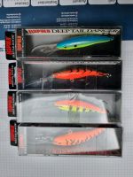 RAPALA DEEP TAIL DANCER 9CM 13G Schleswig-Holstein - Hüsby Vorschau