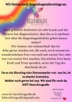 Regenbogenshooting/Regenbogenfotografie Schleswig-Holstein - Rendsburg Vorschau