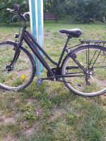 Fahrrad 28 Zoll 45 cm schwarz Thüringen - Erfurt Vorschau