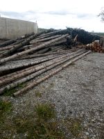 Brennholz zum selbermachen Bayern - Jengen Vorschau