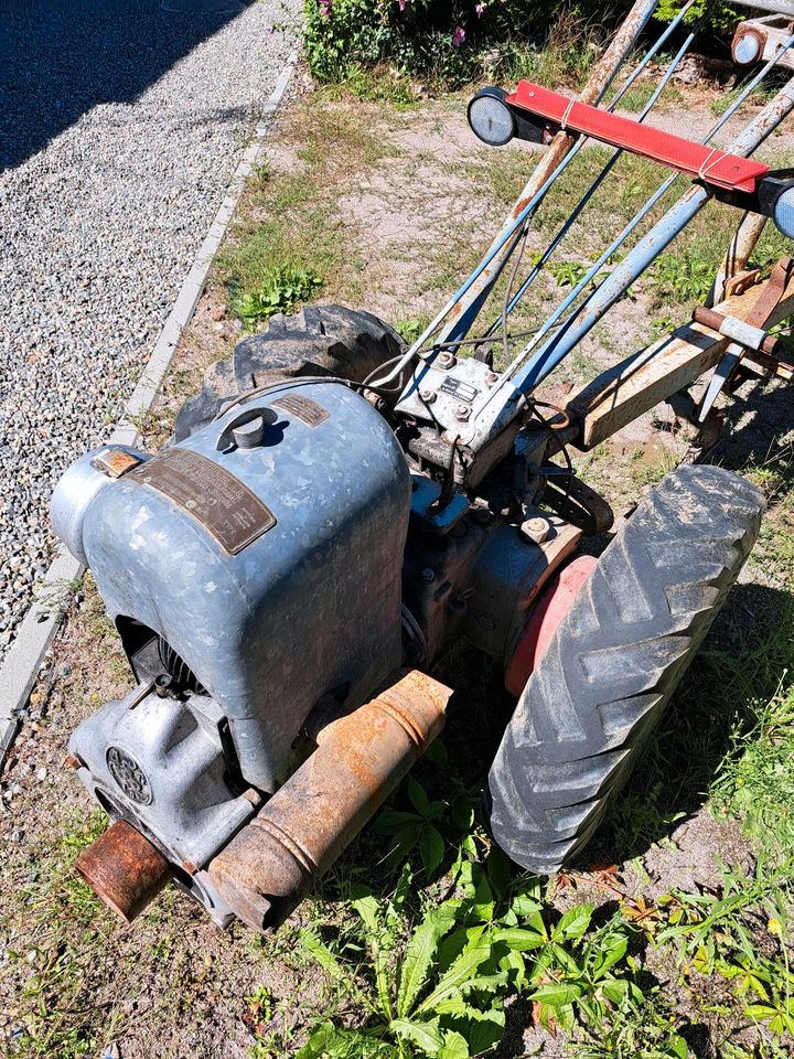 Grunder Einachs Traktor mit Hänger in Albbruck