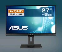 ASUS ProArt PA278QV 27 Zoll IPS LED WQHD Monitor Sachsen-Anhalt - Magdeburg Vorschau