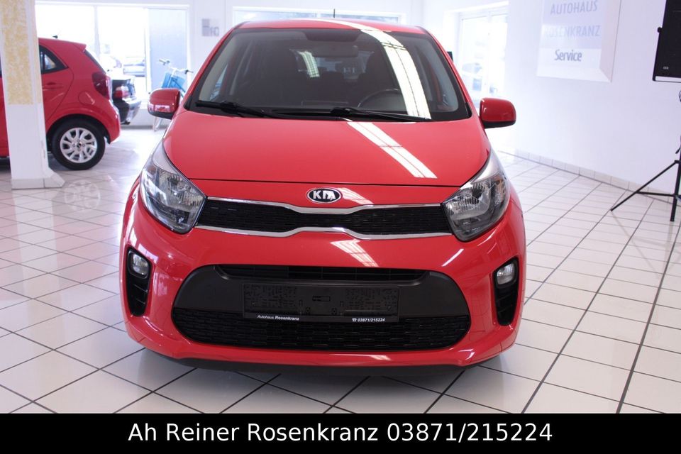 Kia Picanto Dream Team 1. Hand Allwetter Sitzheiz. in Parchim