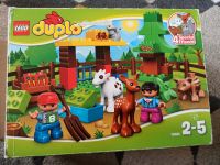 Lego duplo Wildtiere, gebraucht Sachsen - Mülsen Vorschau