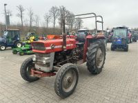 Massey Ferguson 135 (MF 135) Traktor Niedersachsen - Wallenhorst Vorschau