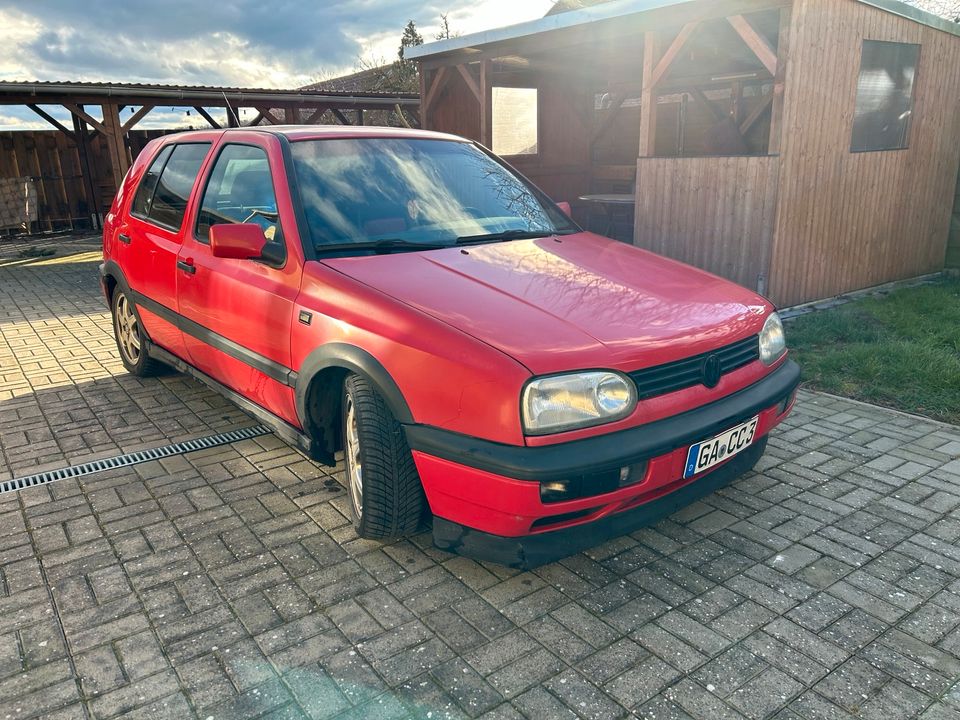 Golf 3 Color Concept 1.9 TDI 1Z in Beetzendorf