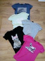 T- Shirts ......Gr.170 ....2€ Niedersachsen - Hildesheim Vorschau