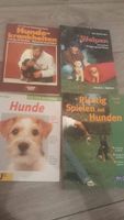 Diverse Hundesachbücher Narewski, Lind, Wegler, Spangenberg Bayern - Pähl Vorschau