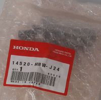 Honda CBR600 PC35 Bj.99-06 Steuerkettenspanner Origina Honda Neu Bayern - Cham Vorschau