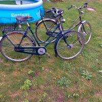 Gazelle Fahrrad Niedersachsen - Lindern (Oldenburg) Vorschau