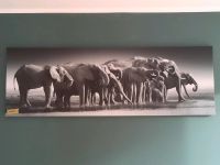 Elefanten Leinwand Bild 180cm x 60cm Baden-Württemberg - Pfullingen Vorschau