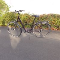 Damenfahrrad Pegasus 28" Nordrhein-Westfalen - Paderborn Vorschau