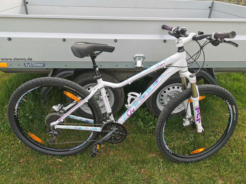 Giant Fahrrad in Blankenburg (Harz)