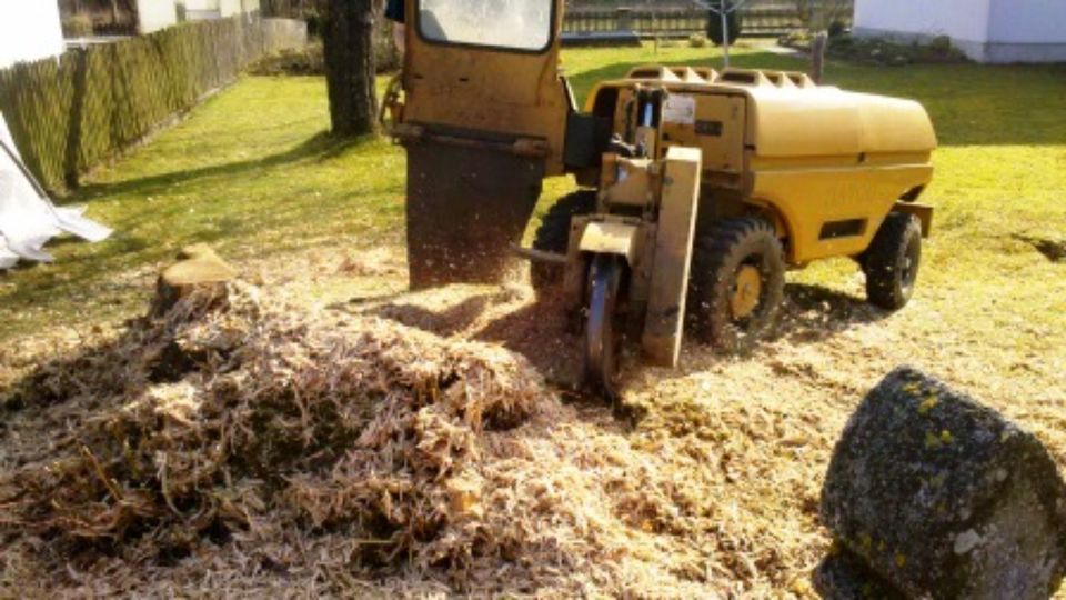 Baumfällung Problembaumfällung Baumstumpf entfernen Wurzelnfräsen in Schondorf am Ammersee