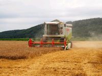 Lohndrusch; Dreschen; Mähdrusch Bayern - Pentling Vorschau