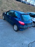 Peugeot 206 Bayern - Regen Vorschau