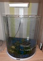 Halbrund Aquarium 30 l mit viel Zubehör Thüringen - Artern/Unstrut Vorschau