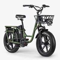 Fiido T1 ersatzteile elektro fahrrad Fatbike West - Griesheim Vorschau