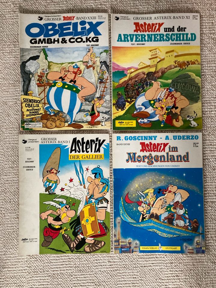 Alte Asterix & Obelix Comics in Bad Bramstedt