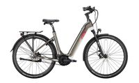 Neu! E-Bike Victoria Manoc 3, Riemenantrieb, 625 WH, Perf. CX, bis 170 Kg Brandenburg - Lauchhammer Vorschau