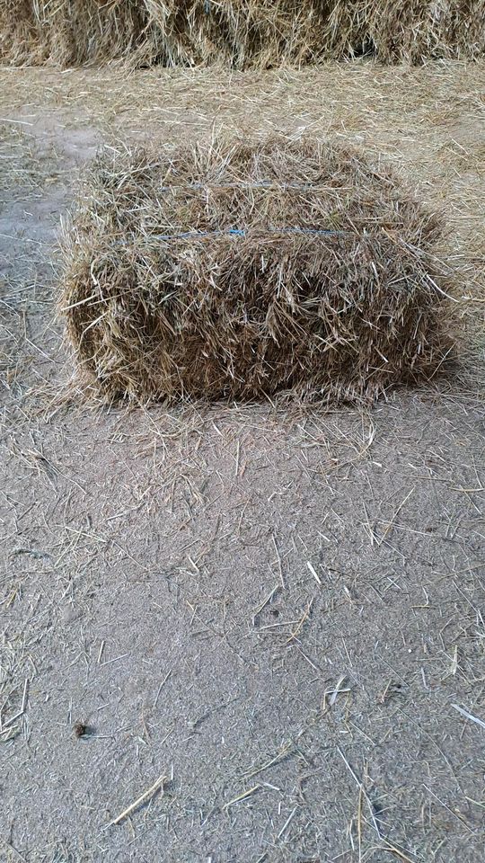 Heu, Heuballen, HD Ballen in Weismain