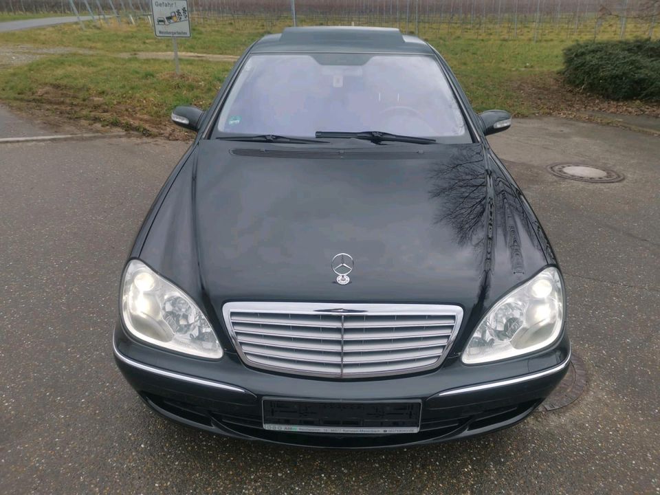 MERCEDES BENZ S 600 BI TURBO W 220 in Talheim Neckar