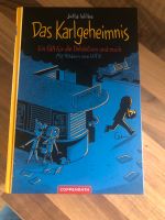 Kinderbuch „Das Karlgeheimnis“ ab 10 Jahre Baden-Württemberg - Großrinderfeld Vorschau