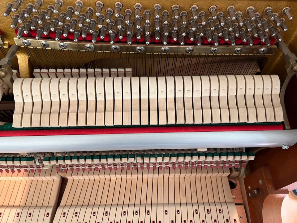 Grotrian Steinweg V122 Eibe Klavier in Goldbach