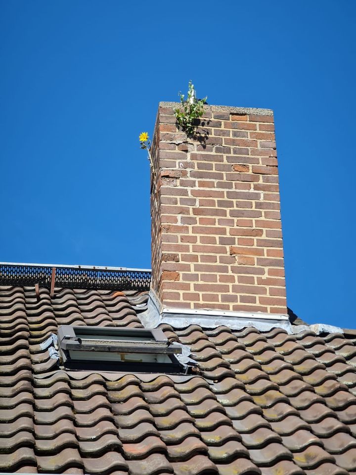 Experten in der Renovierung Sanierung von Immobilie Handwerker in Wolfhagen 