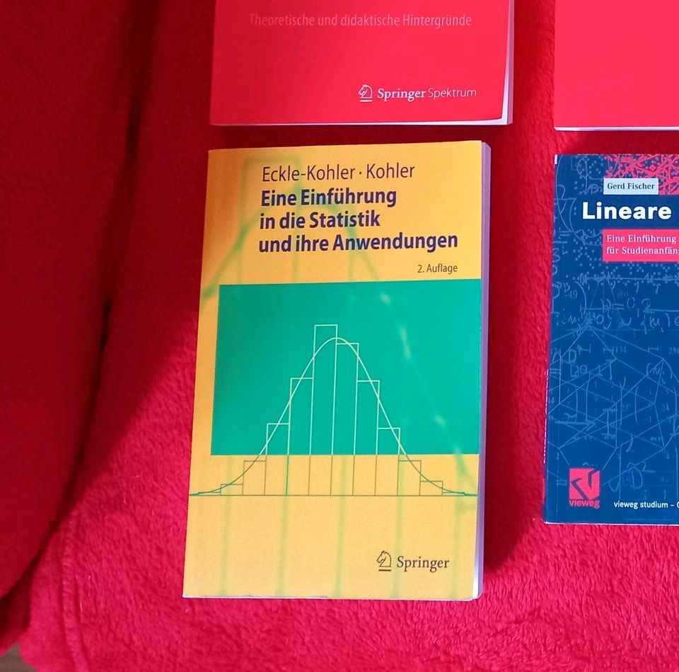 Mathematik Bücher Studium Statistik Algebra Modellieren in Hofgeismar