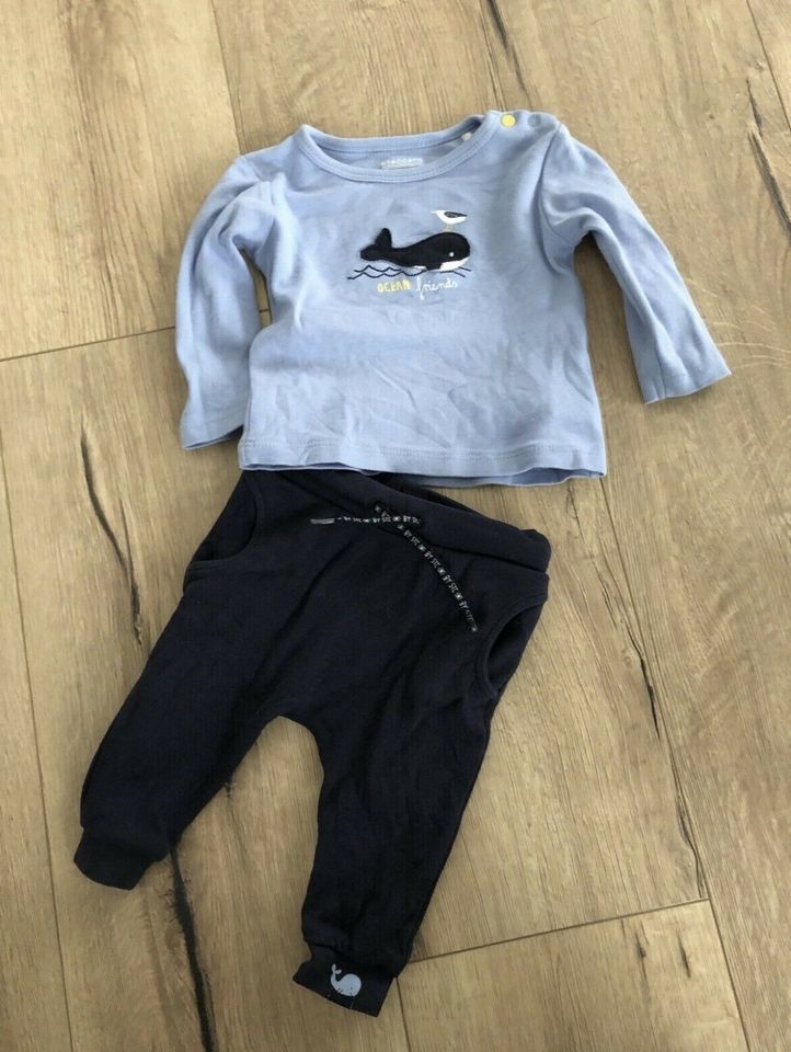 | Freudenstadt ist Hose Kleinanzeigen Newborn und Baden-Württemberg in Kleinanzeigen Set jetzt Shirt Baby eBay STACCATO -