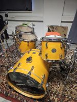 Sonor 3005 Full Maple in Honey gelb Lüneburger Heide - Neuenkirchen Vorschau