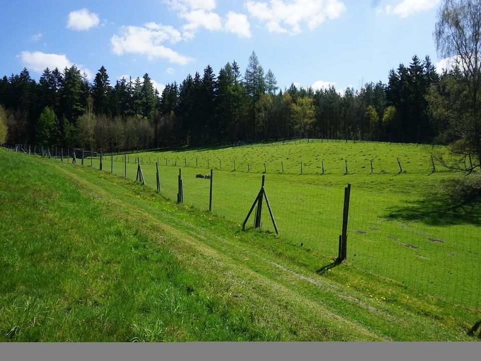 Bauernhof mit Pensionszimmern und Wildgehege sucht Sie! in Bad Elster