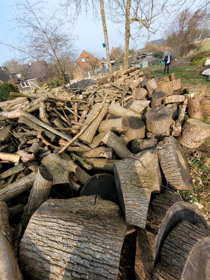 Brennholz zum selber sägen und spalten in Umleitungsdeich