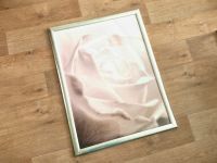 Bild Rose rosa mit Rahmen silber Glasbild Leinwand Höffner 65x85 Rostock - Südstadt Vorschau