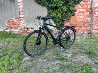 Radon Solution Comfort 9.0 Diamant 52cm L XT 2020 Fahrrad Sachsen-Anhalt - Gerwisch Vorschau