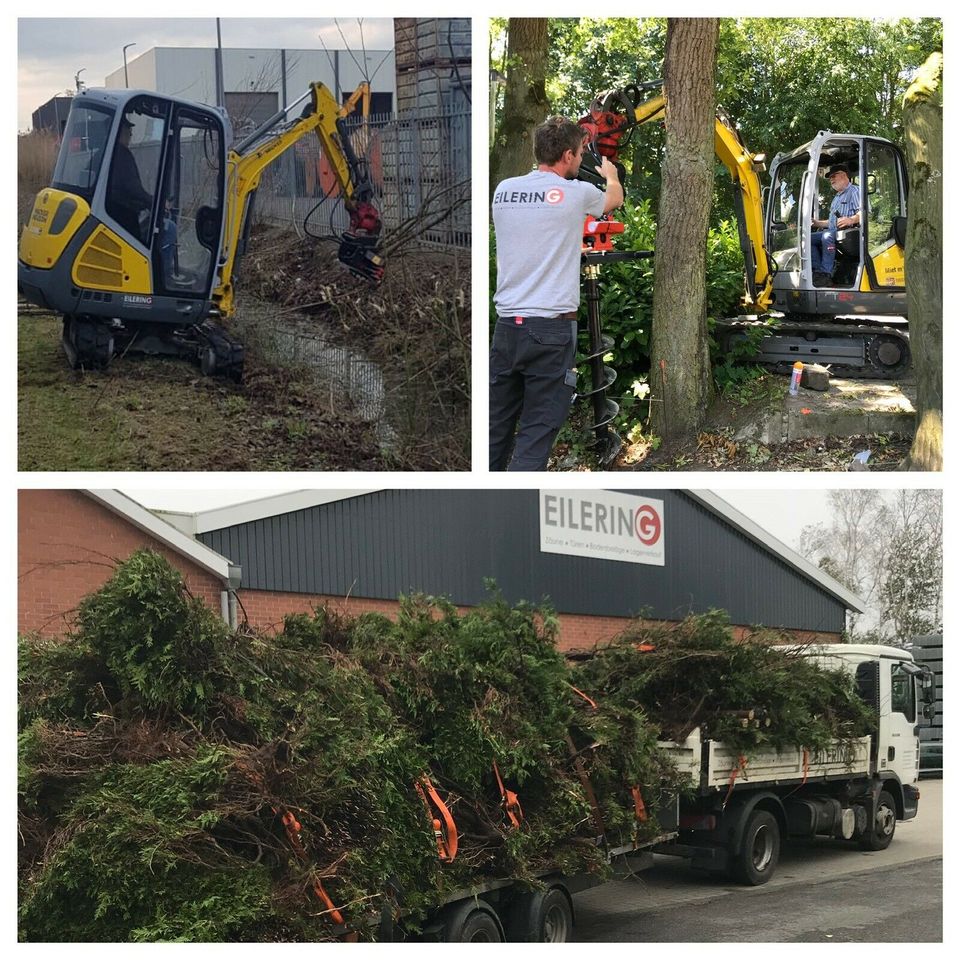 Verleih Bagger mit Sortiergreifer 3,5 Tonner Kettenbagger in Bad Bentheim