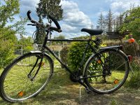 Peugeot Herrenfahrrad Baden-Württemberg - Bretten Vorschau