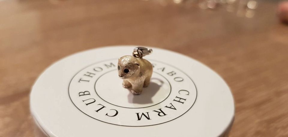 Thomas Sabo Eisbär Charm in Stuttgart