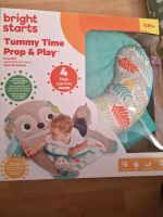 Bright Starts Tummy Time Prop & Play Faultier Babyspielzeug Flensburg - Fruerlund Vorschau