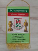 SC Magdeburg Handball Wimpel 18x28 cm Wimpel Niedersachsen - Braunschweig Vorschau