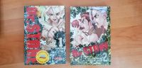 Dr. Stone Manga Band 1+2 Nordrhein-Westfalen - Siegen Vorschau